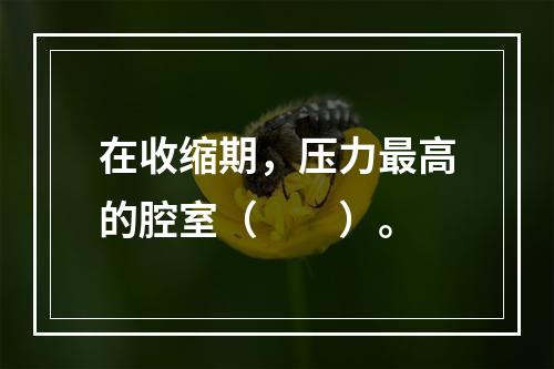 在收缩期，压力最高的腔室（　　）。