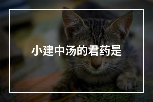 小建中汤的君药是