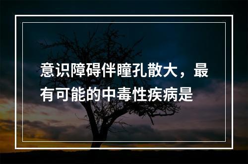 意识障碍伴瞳孔散大，最有可能的中毒性疾病是