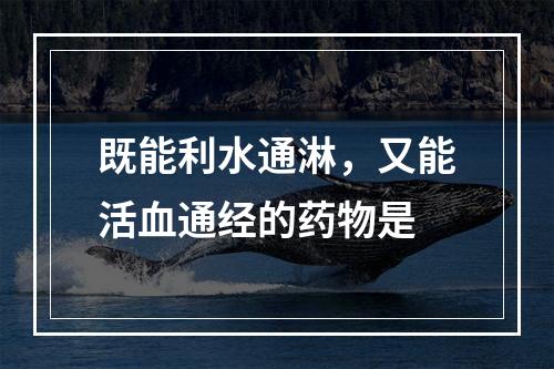 既能利水通淋，又能活血通经的药物是