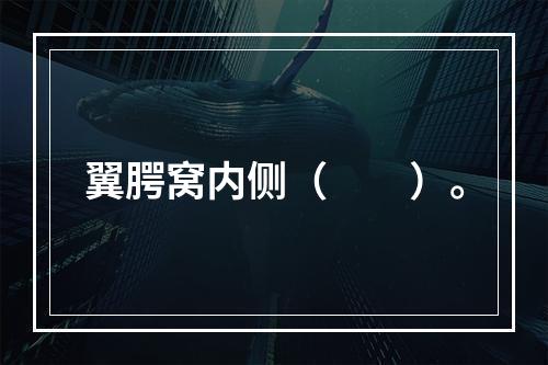 翼腭窝内侧（　　）。