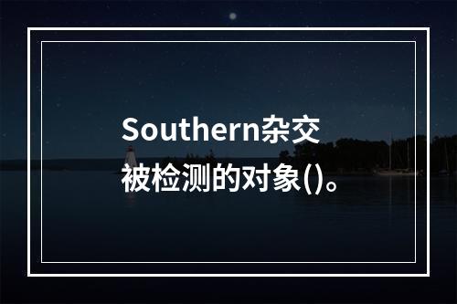 Southern杂交被检测的对象()。