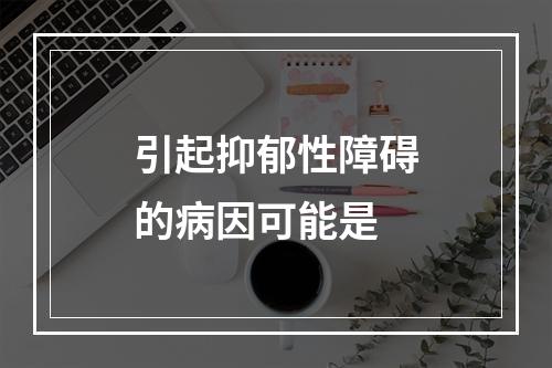 引起抑郁性障碍的病因可能是