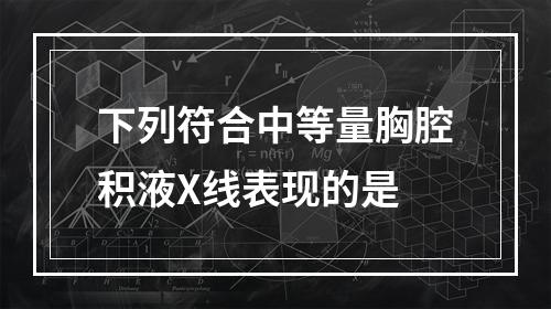 下列符合中等量胸腔积液X线表现的是