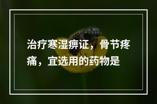 治疗寒湿痹证，骨节疼痛，宜选用的药物是