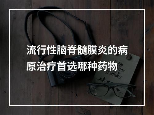 流行性脑脊髓膜炎的病原治疗首选哪种药物