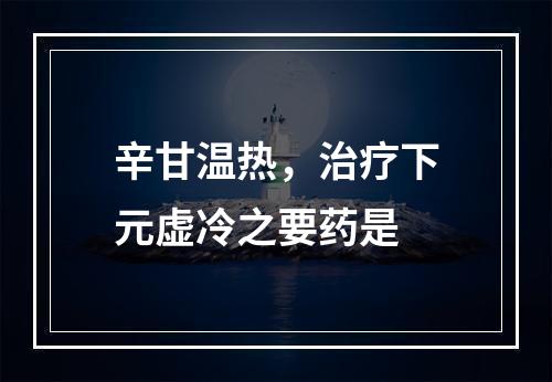 辛甘温热，治疗下元虚冷之要药是