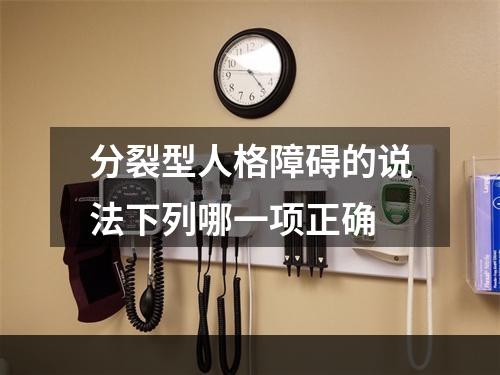 分裂型人格障碍的说法下列哪一项正确