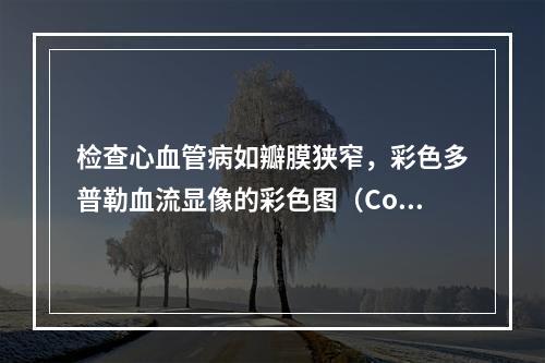 检查心血管病如瓣膜狭窄，彩色多普勒血流显像的彩色图（Col