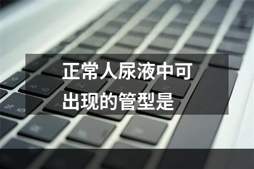 正常人尿液中可出现的管型是