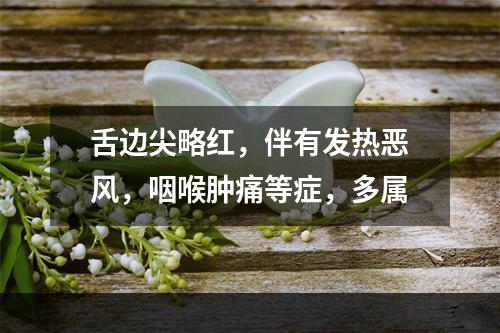 舌边尖略红，伴有发热恶风，咽喉肿痛等症，多属