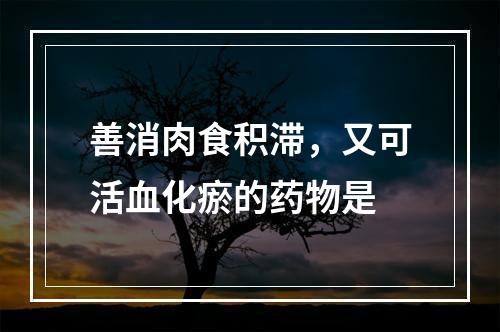 善消肉食积滞，又可活血化瘀的药物是