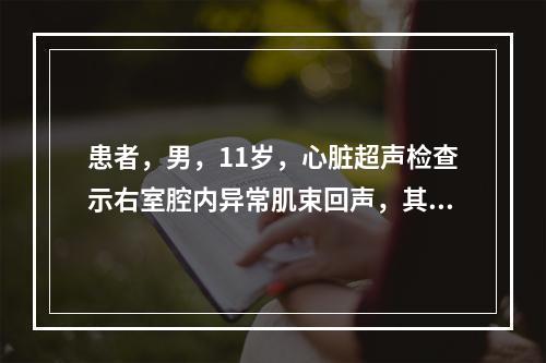 患者，男，11岁，心脏超声检查示右室腔内异常肌束回声，其中