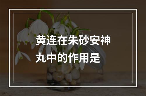 黄连在朱砂安神丸中的作用是