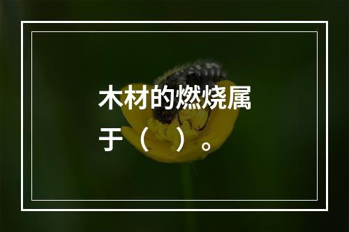 木材的燃烧属于（ ）。