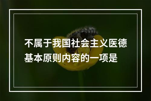 不属于我国社会主义医德基本原则内容的一项是