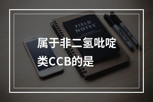 属于非二氢吡啶类CCB的是