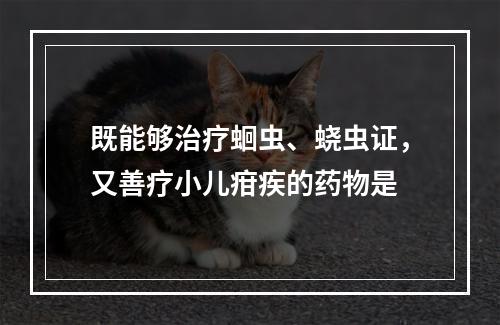 既能够治疗蛔虫、蛲虫证，又善疗小儿疳疾的药物是