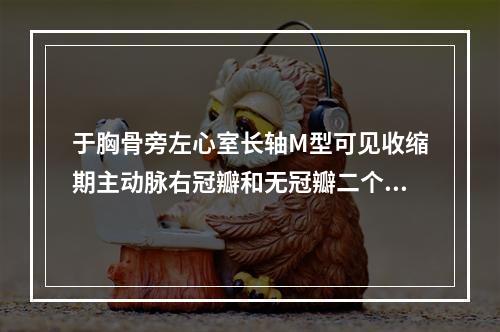 于胸骨旁左心室长轴M型可见收缩期主动脉右冠瓣和无冠瓣二个瓣