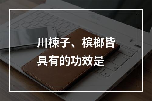 川楝子、槟榔皆具有的功效是