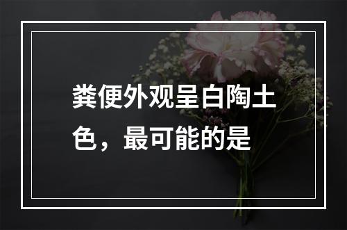 粪便外观呈白陶土色，最可能的是