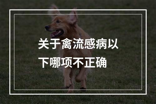 关于禽流感病以下哪项不正确