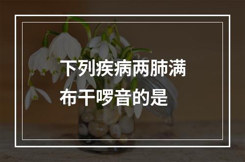 下列疾病两肺满布干啰音的是