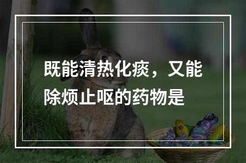 既能清热化痰，又能除烦止呕的药物是