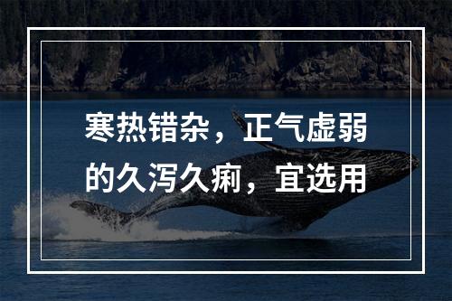 寒热错杂，正气虚弱的久泻久痢，宜选用