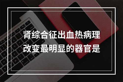 肾综合征出血热病理改变最明显的器官是