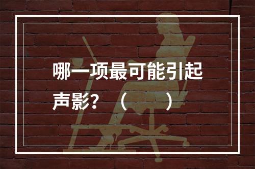 哪一项最可能引起声影？（　　）