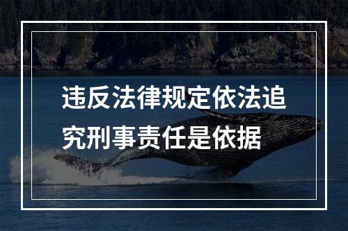 违反法律规定依法追究刑事责任是依据