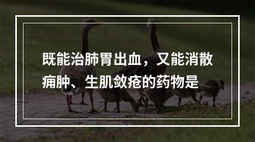 既能治肺胃出血，又能消散痈肿、生肌敛疮的药物是