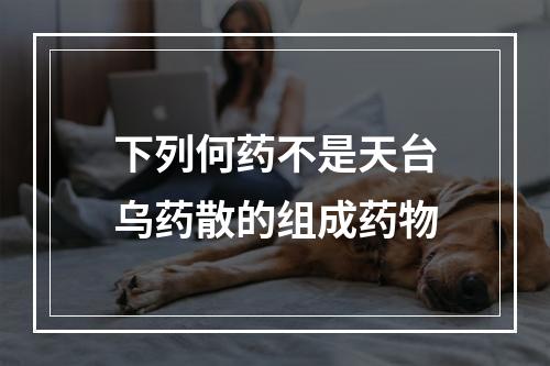 下列何药不是天台乌药散的组成药物