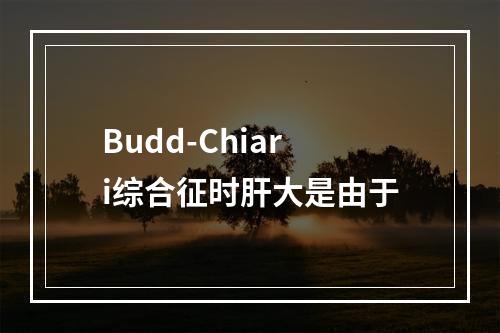 Budd-Chiari综合征时肝大是由于