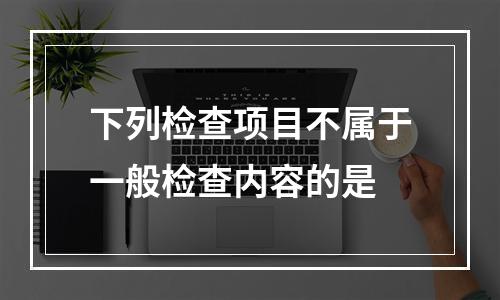 下列检查项目不属于一般检查内容的是