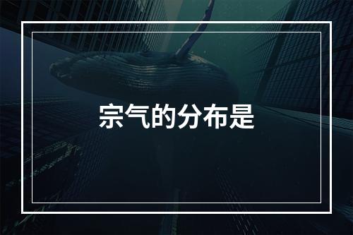 宗气的分布是