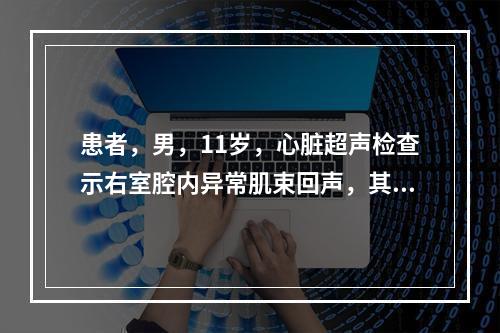 患者，男，11岁，心脏超声检查示右室腔内异常肌束回声，其中