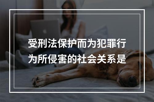 受刑法保护而为犯罪行为所侵害的社会关系是