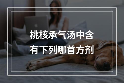 桃核承气汤中含有下列哪首方剂