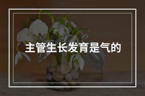 主管生长发育是气的