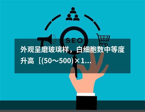 外观呈磨玻璃样，白细胞数中等度升高［(50～500)×10/