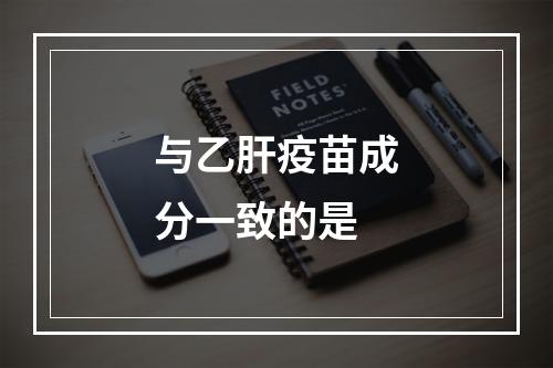 与乙肝疫苗成分一致的是