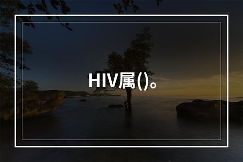 HIV属()。