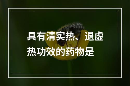 具有清实热、退虚热功效的药物是