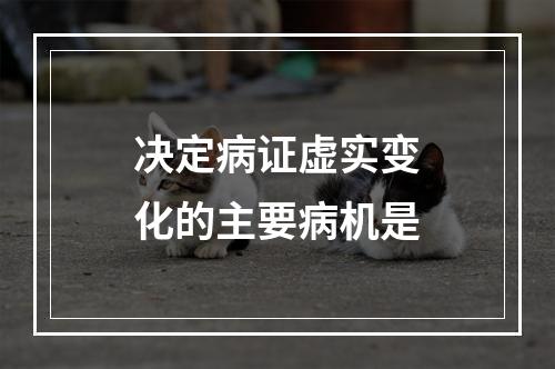 决定病证虚实变化的主要病机是