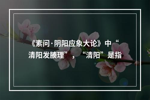 《素问·阴阳应象大论》中“清阳发腠理”，“清阳”是指