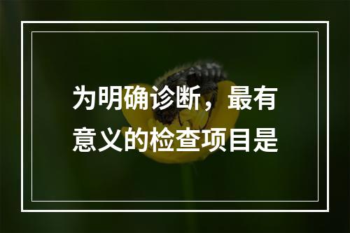 为明确诊断，最有意义的检查项目是