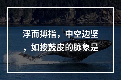 浮而搏指，中空边坚，如按鼓皮的脉象是