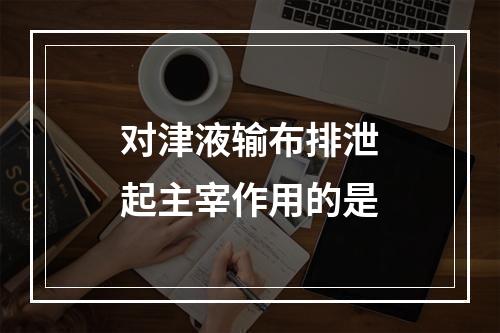 对津液输布排泄起主宰作用的是